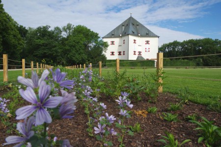 letohradek-a-obora-hvezda